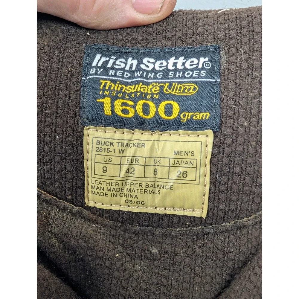 Irish Setter built cold